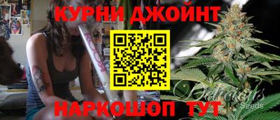 гидра Кимры